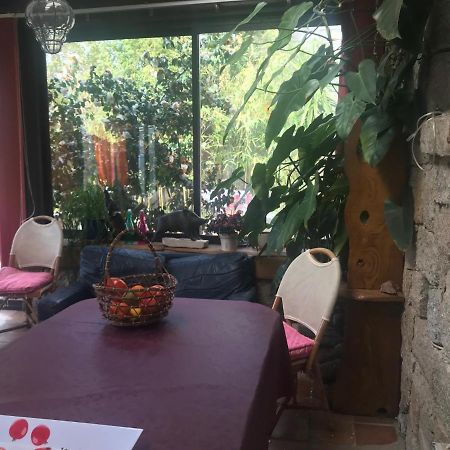 Le Paradis Bed and Breakfast Zicavo Exterior foto